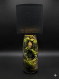 Lueur de Forêt Boutures et Créations