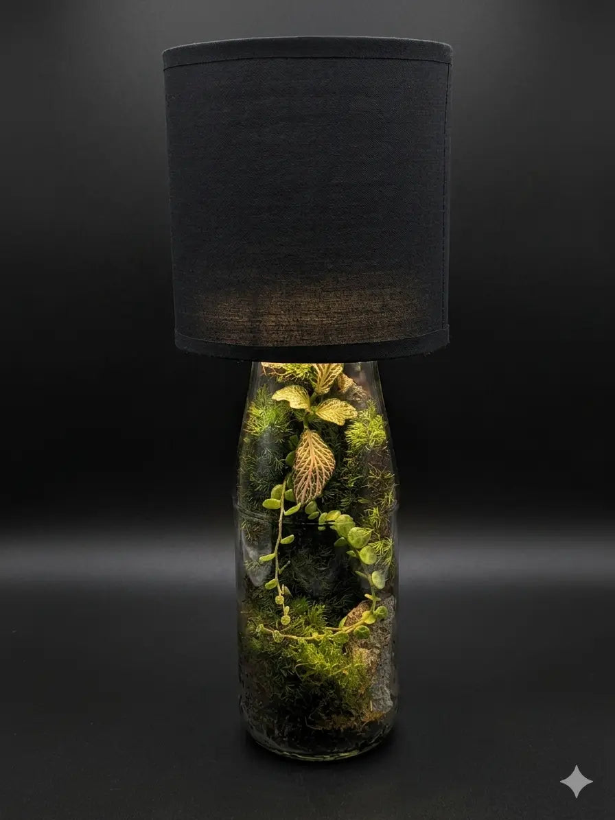 Lueur de Forêt Boutures et Créations