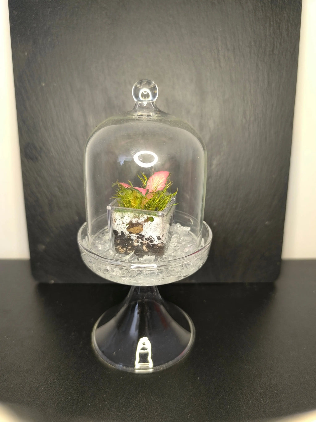 Terrarium miniature Boutures et Créations
