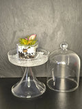 Terrarium miniature Boutures et Créations