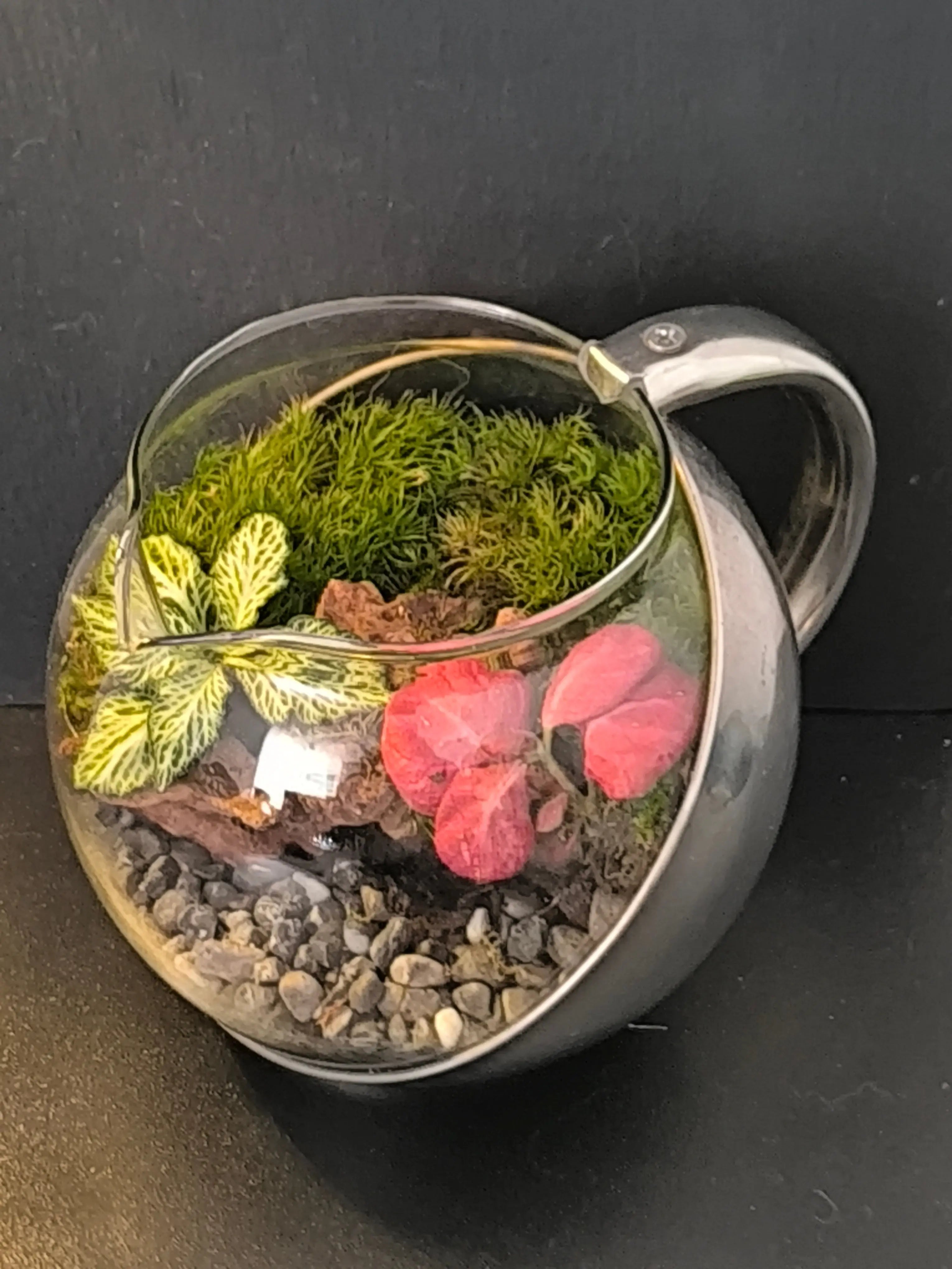 L'Infusion Enchantée Boutures et Créations
